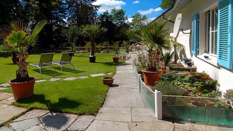 Schildkröten Haltung – Turtle Home