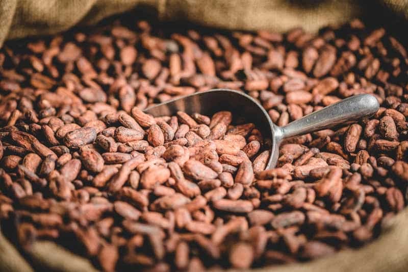 How to roast cocoa beans Chocolate Phayanak