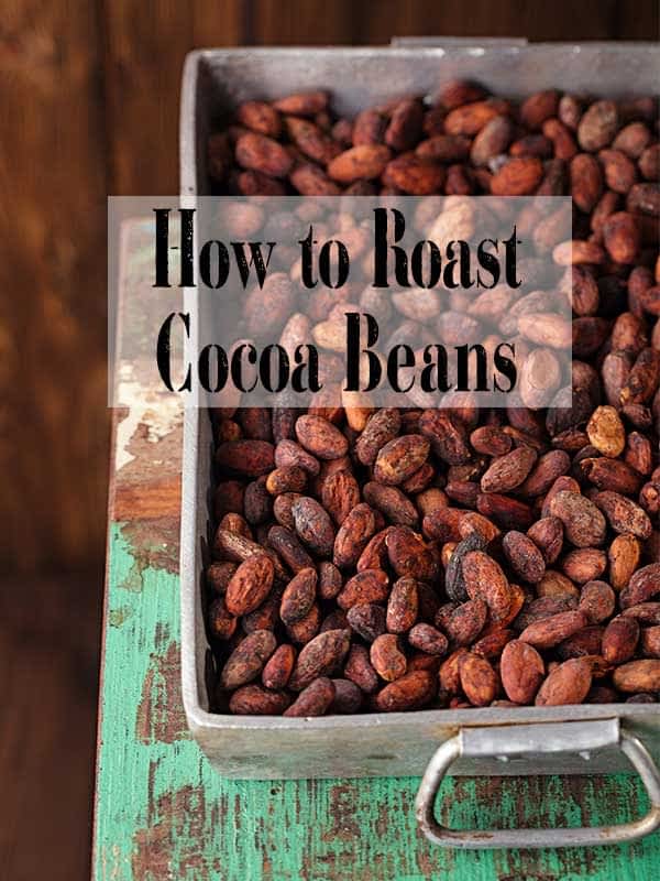 How & Why Do Cocoa Beans Need To Be Roasted Chocolate Phayanak