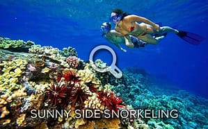 Sunny Side Snorkeling