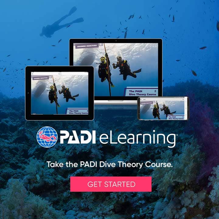 Register now - eLearning DiveTheory diver