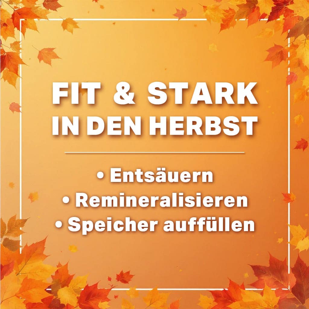 Entsäuern, Remineralisieren, Speicher auffüllen - fit & stark in den Herbst