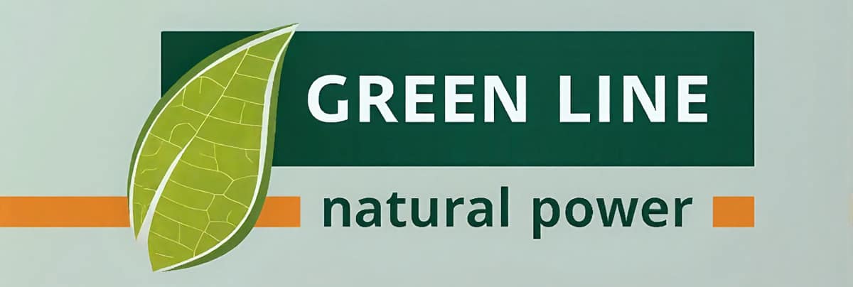 Green Line Natürliche Flüssigseife frei von synthetischen Duftstoffen