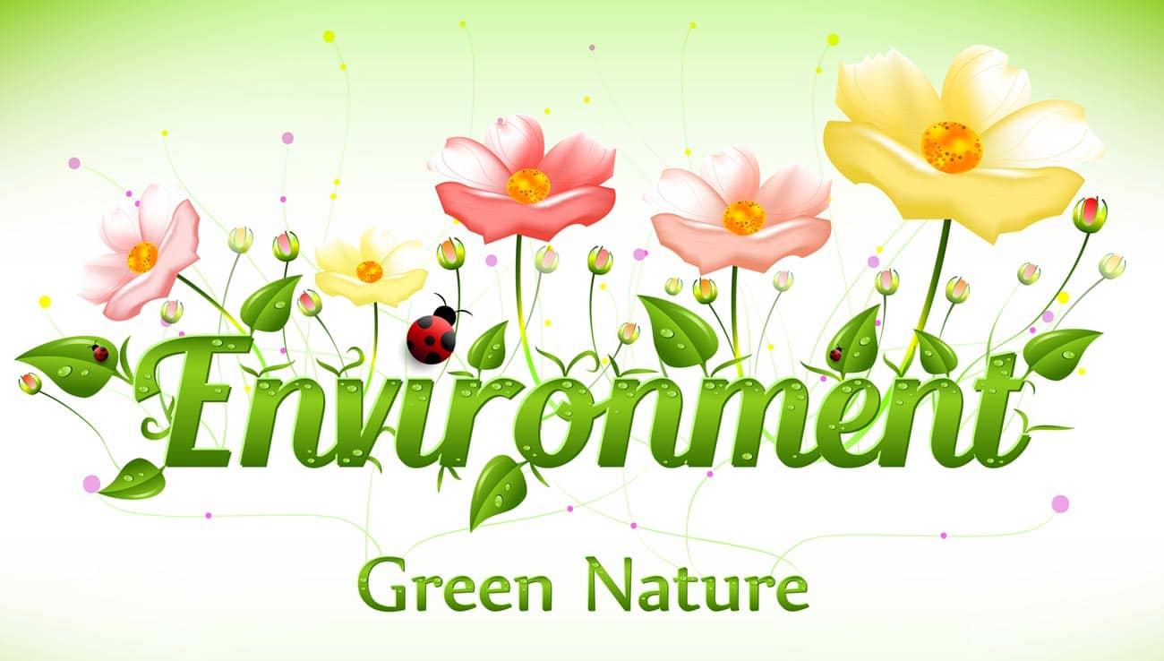 Geschirrspülmittel – 100% biologisch abbaubar