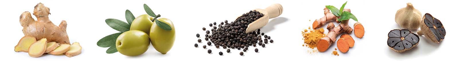 HI Cardiovit – Pflanzliche Power für Herz & Kreislauf HI Cardiovit – Pflanzliche Power für Herz & Kreislauf