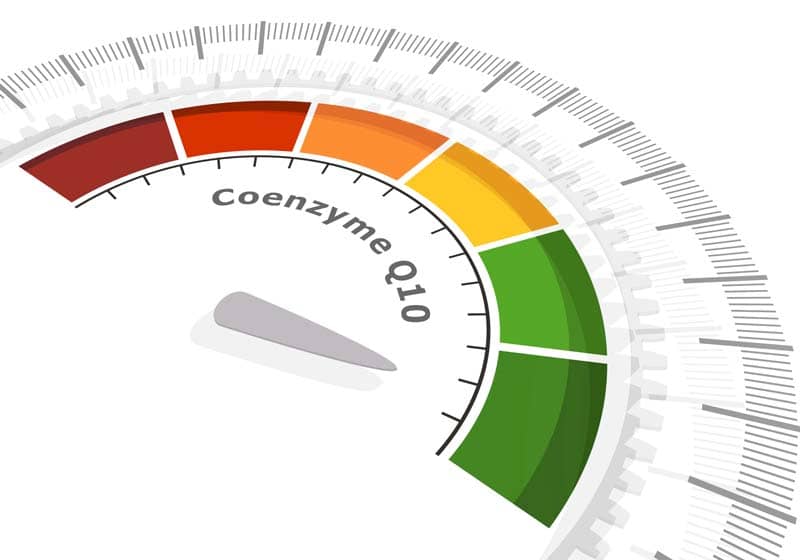 Coenzym Q10 - Nahrungsergänzung und Energielieferant