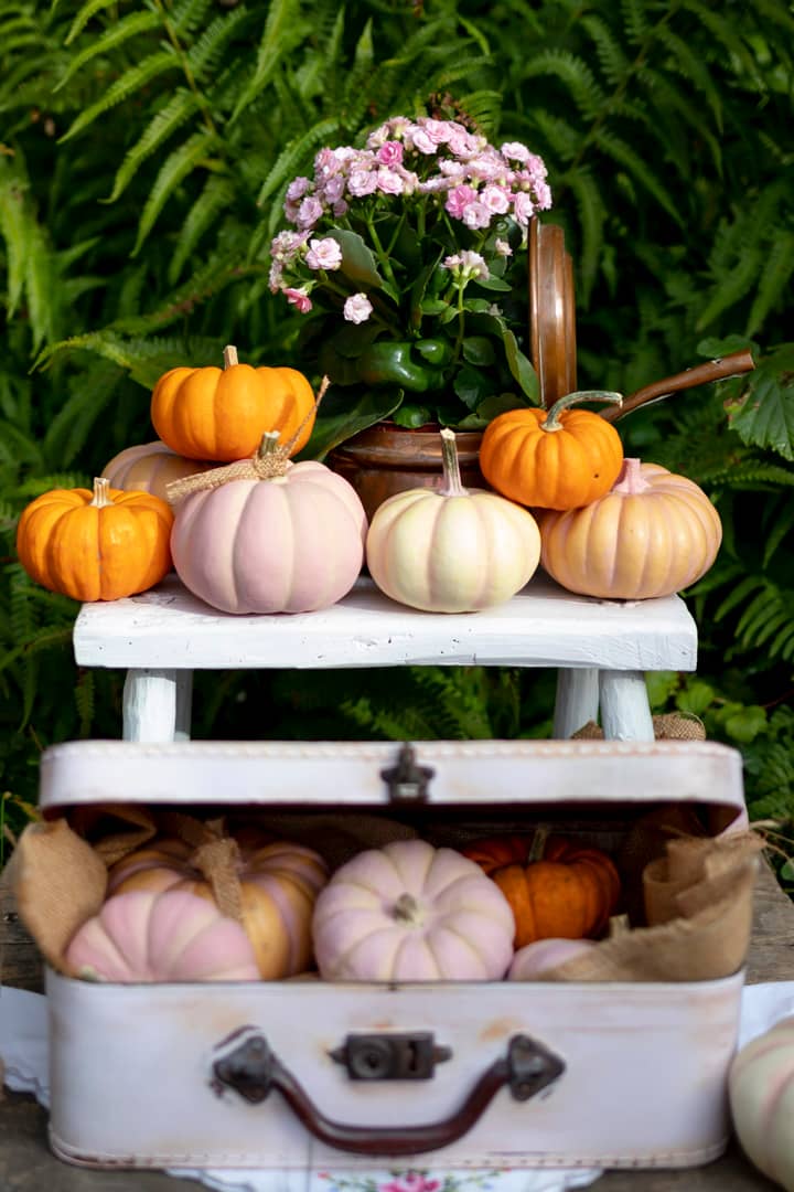 Herbst Deko Shabby Chic Rosa Kreidefarbe Dusty Rosa herbst herbstdeko kürbis kürbisdeko kürbisdekoration shabby chic
