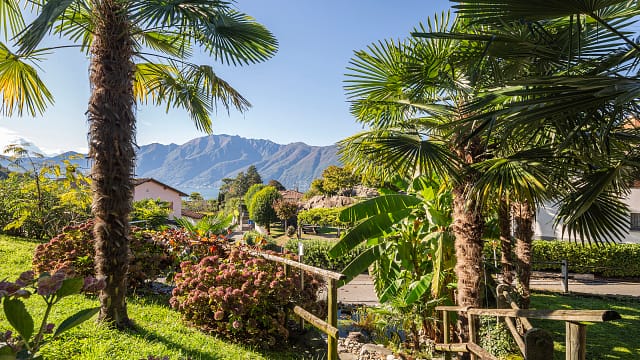 zu verkaufen gartenwohnung vairano