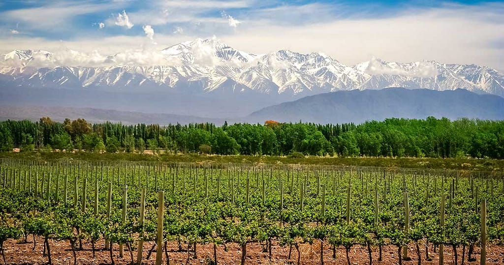 Déménager à Mendoza