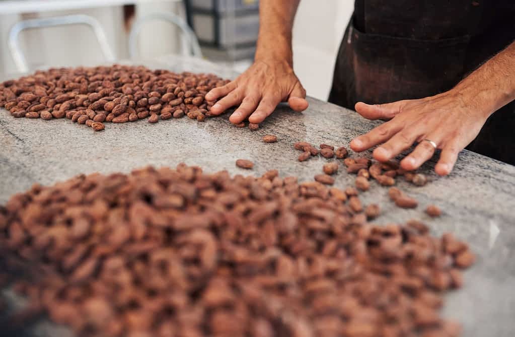 Sorting-Beans