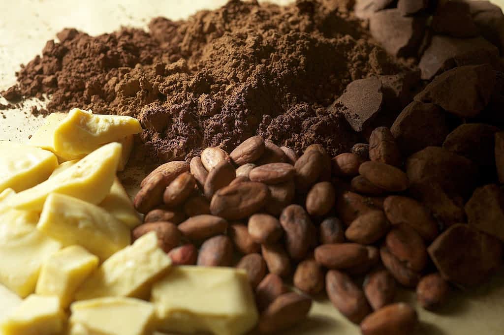 Chocolate-Ingredients