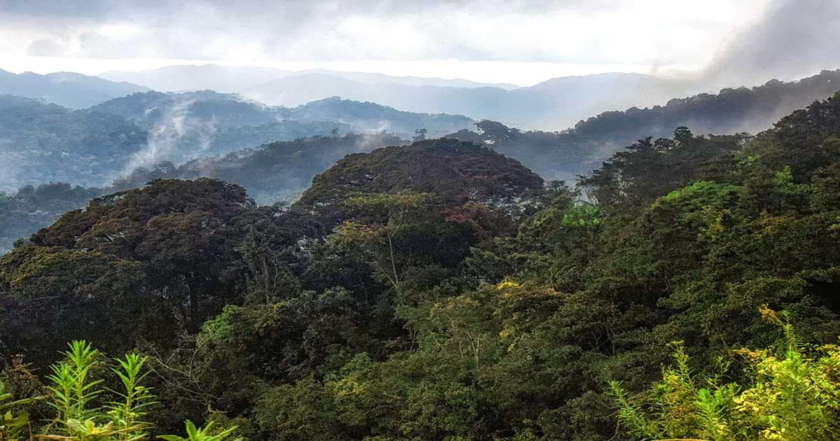 Move Rwanda Contact Moving Rwanda | Swiss Moving Company | Kehrli + Oeler AG