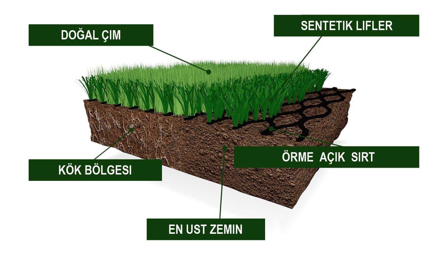 “Green Hybrid” çim neyden yapılmıştır?