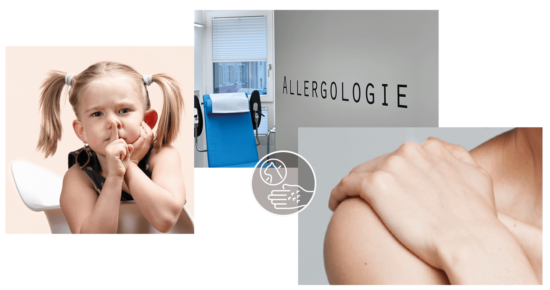 DZ Collage Angebotseite Allgemein rechts ()