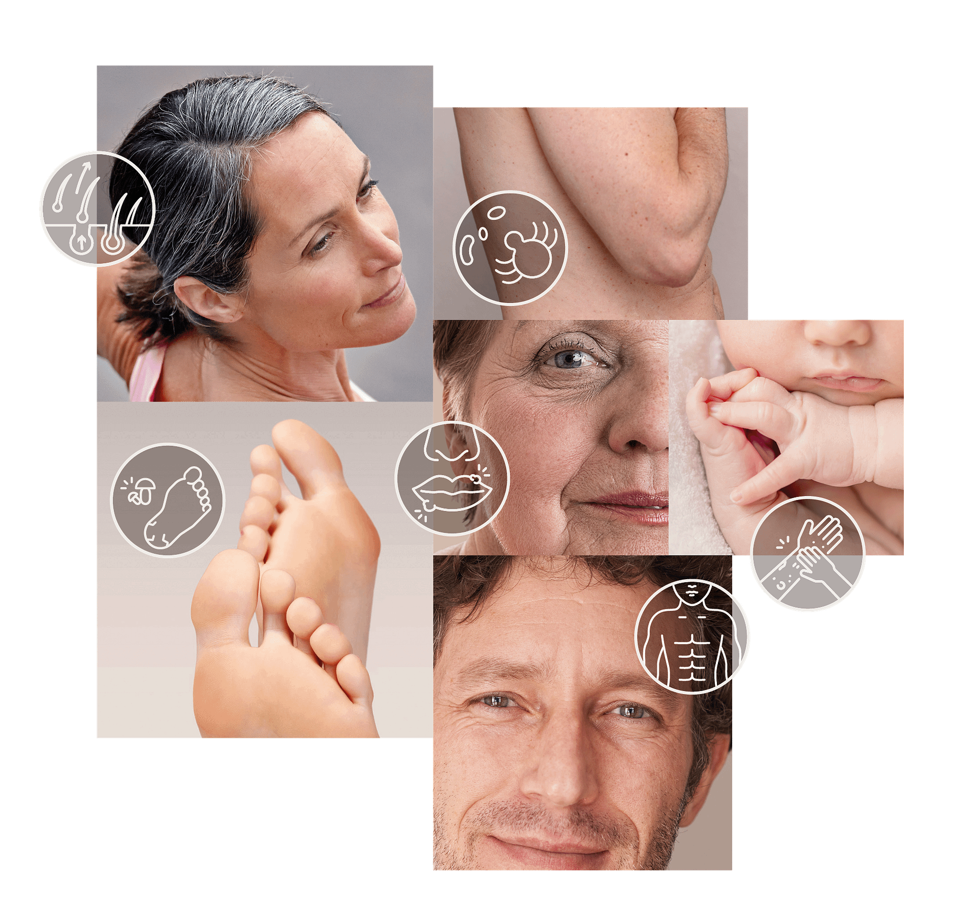 DZ Collage Startseite