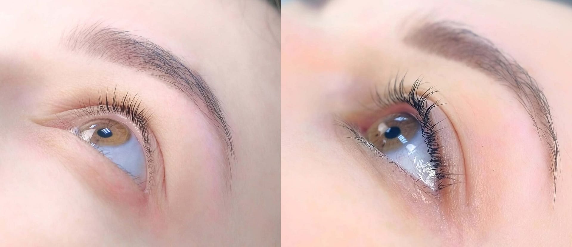 Lash Lift inkl. Färben Lash Lift inkl. Färben