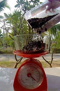 Weighing-Beans