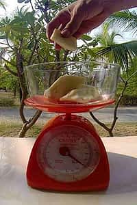 Weighing-Fat