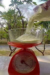 Weighing-Milk-Powder