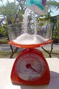 Weighing-Sugar
