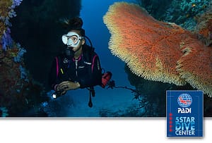 Sea-Explorer Maldives, Diving & Snorkling