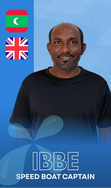Ibbe staff card