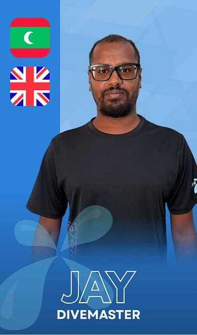 Jay staff card