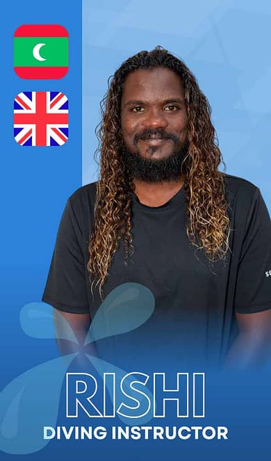 Rishi staff card