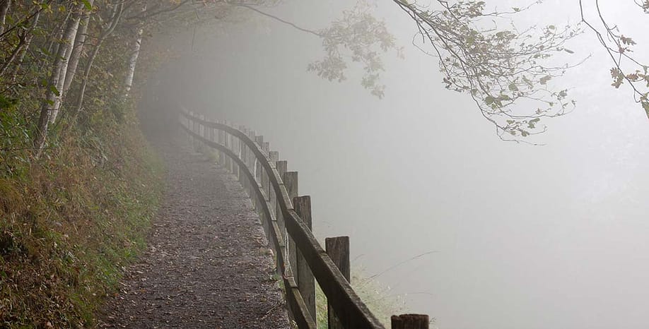 Supervision & Intervision | EMCC Suisse Supervision & Intervision | EMCC Suisse