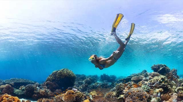 Reethi Faru - Snorkeling Packages