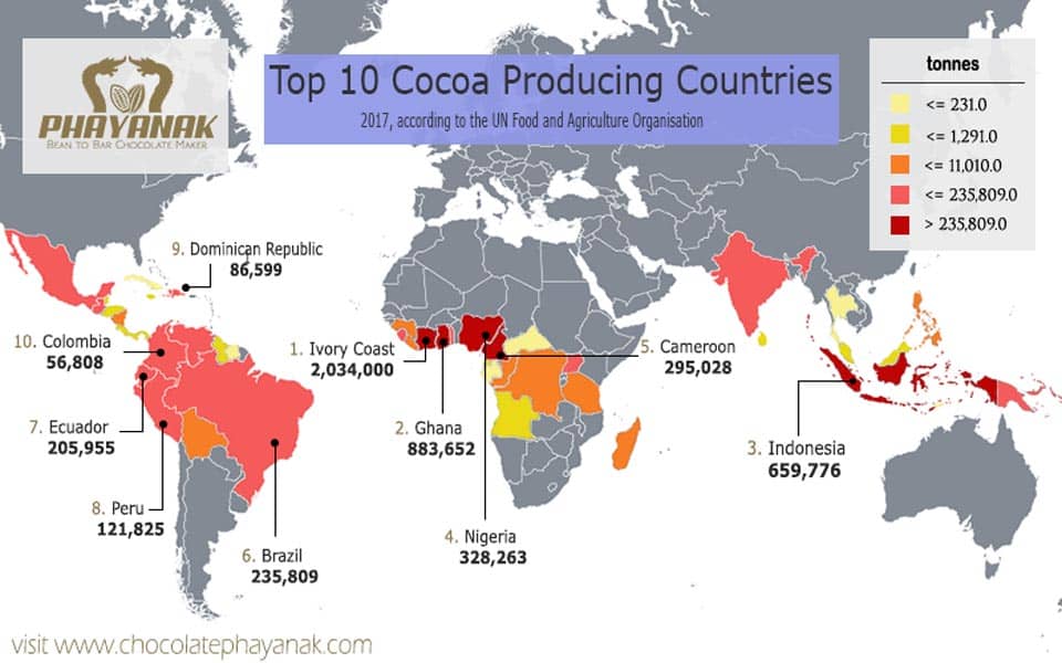 Cocoa Production Where Is Cocoa Grown Around The World 