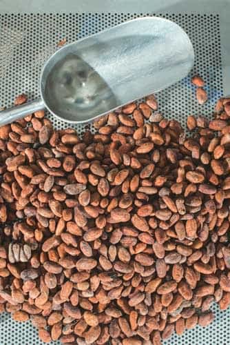 Cooling-Beans Cooling cocoa beans