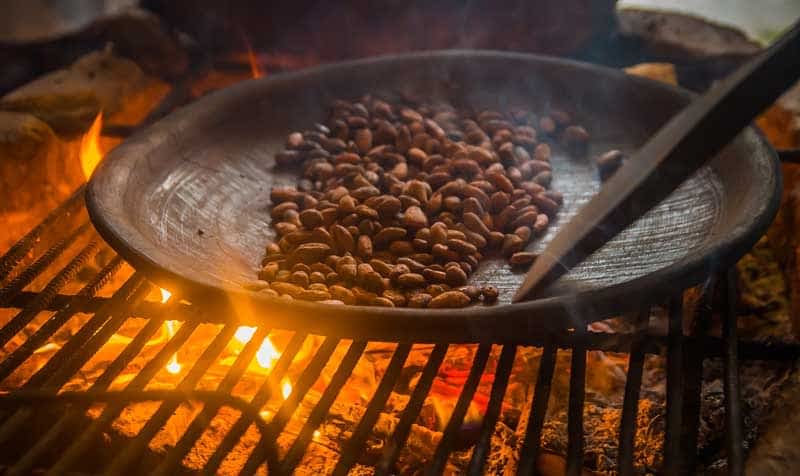 Why are cocoa beans roasted