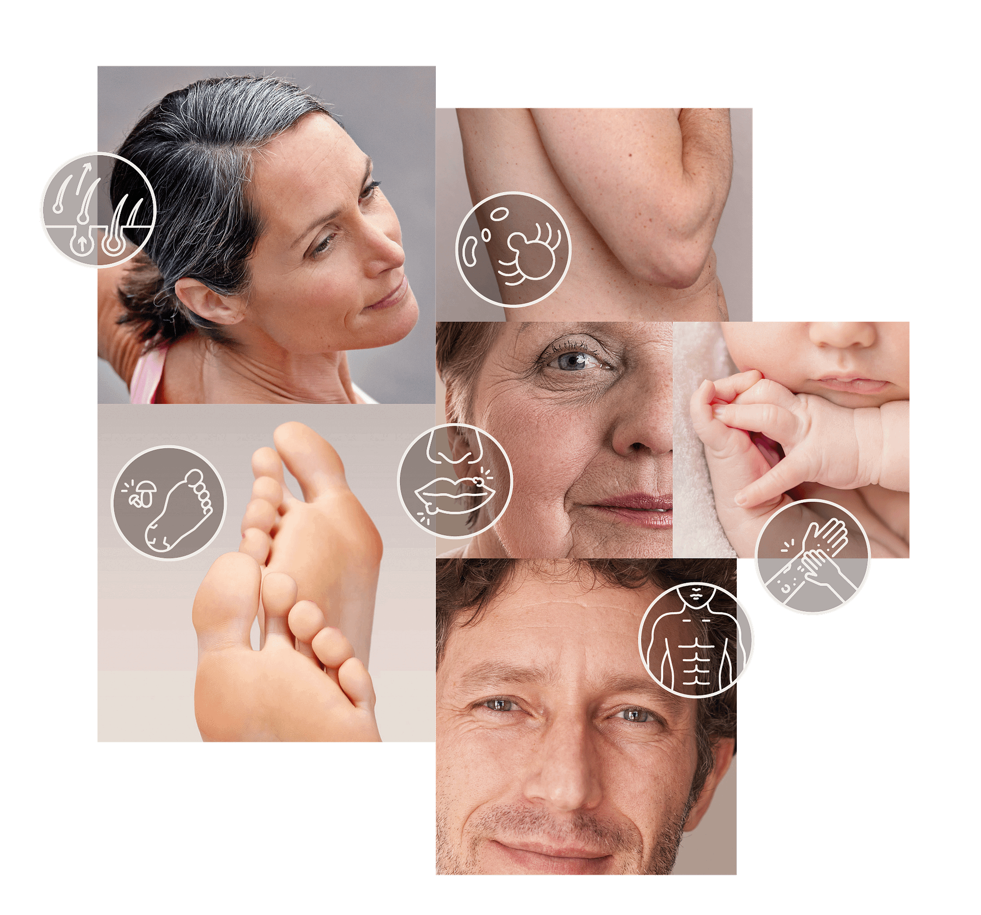 DZ Collage Startseite DZ Collage Startseite