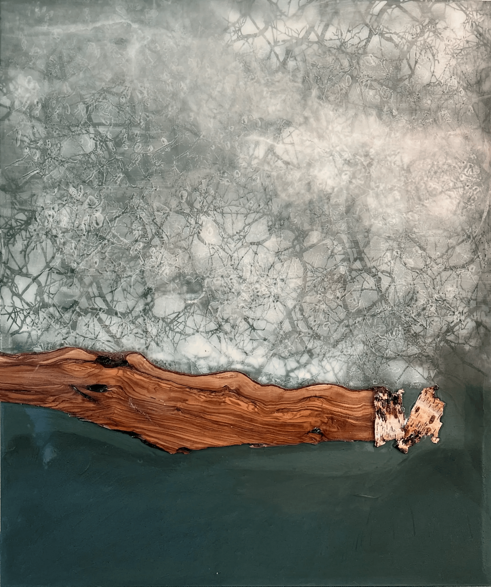 Zwischen Stille und Wurzeln